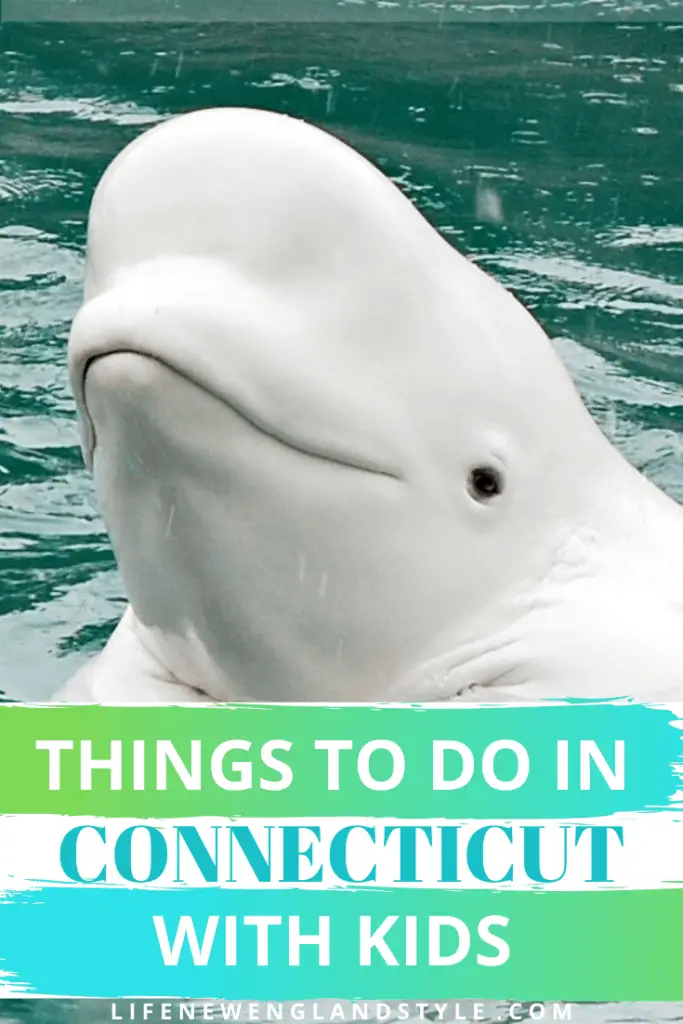 42 Of The Best Things To Do In Connecticut With Kids 2022 Life New 